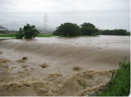 ゲリラ豪雨による河川