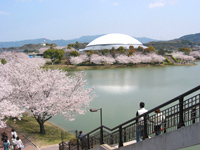 駕与丁公園の風景