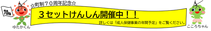 ３セットけんしん