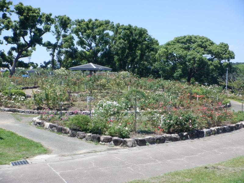 20260629-1