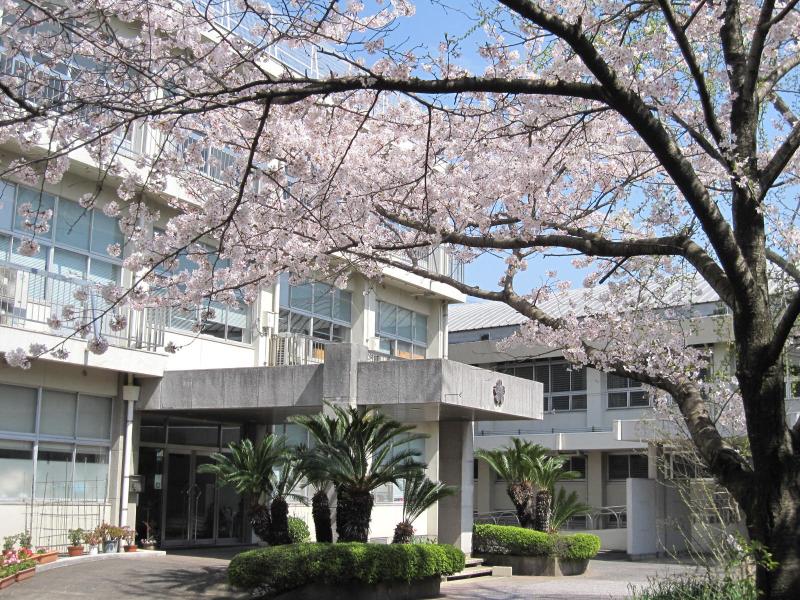 大川桜と校舎の画像